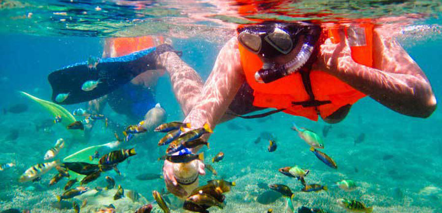 Snorkeling Gili Nanggu