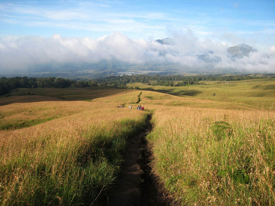 Savanna Grass Tall at Sembalun Lawang altitude 1300m - Mount Rinjani