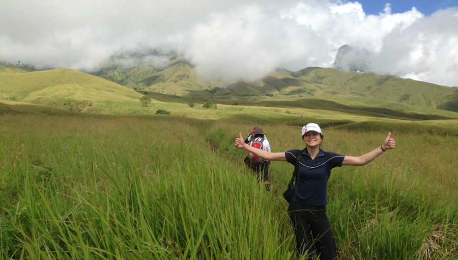 Savanna grass tall at Sembalun Lawanga altitude 1500 meter - Mount Rinjani National Park
