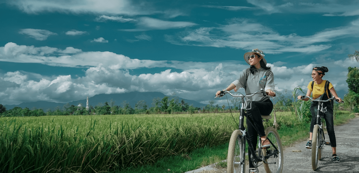 Menelusuri sawah bersepeda Tetebatu Lombok