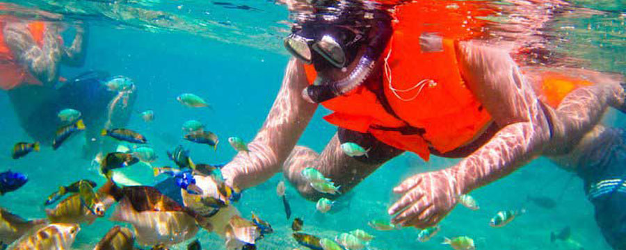 Tours snorkeling to Gili Nanggu, Gili Sudak and Gili Kedis
