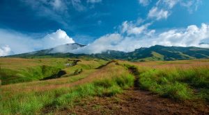 Savanna Sembalun Lawang altitude 1105 meter Mount Rinjani